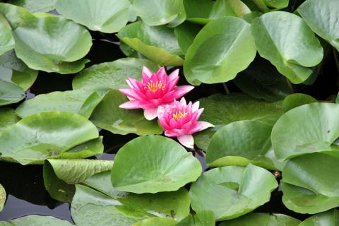 நீ நெருப்பு நீ நீர்