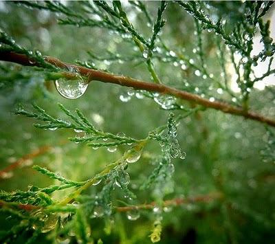 உனக்காக