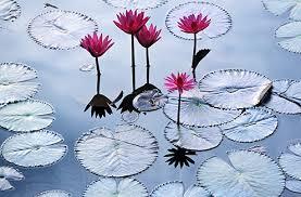 மரங்களை வெட்டாதீர்கள்