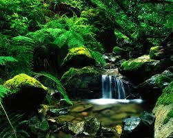 பல் முளைக்குது பல் முளைக்குது