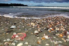 கடற்கரை மீதில் 