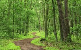 மழை பொழிந்தால் மண் வாசம்