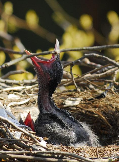 ஈரத் துளிகள் - கே-எஸ்-கலை ஈரத் துளிகள் - கே-எஸ்-கலை