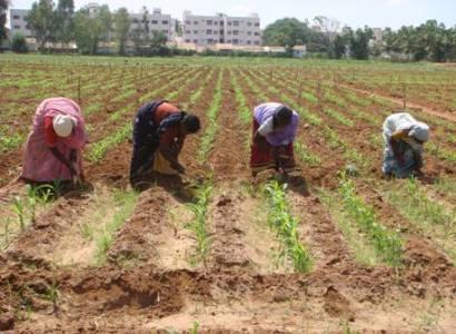 காதல் பட்டம்