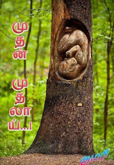 முதன் முதலாய் நான்  - குமரி