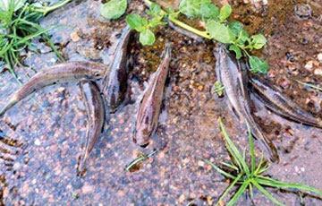 நன்றி சொல்ல