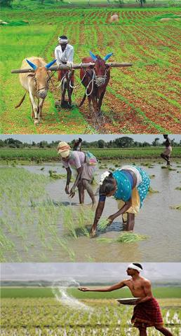 தொலைந்த சுயம் 