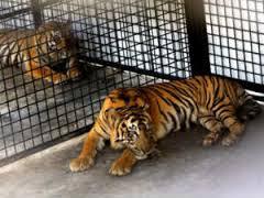 துஷ்டரைக் கண்டால் தூர விலகு