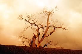 மறந்துபோனேன்