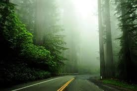 புகையிலை இன்றியும் புகைக்கலாம்