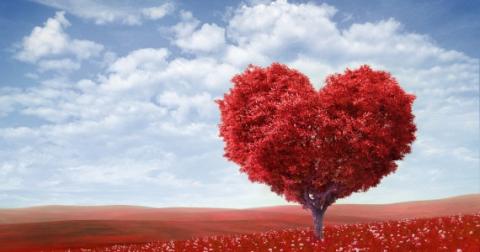 அழகான வாழ்க்கை ஆனந்தமாய் - சர்நா