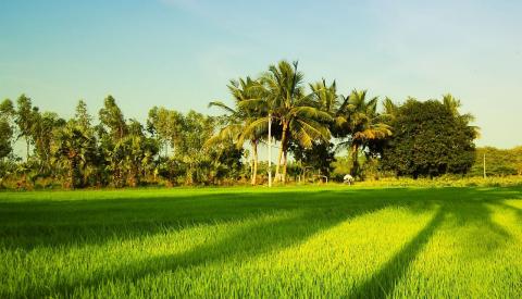 பண்டைக்கால விஞ்ஞானிகள்