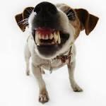 கோபம் பொறு - நாகூர் லெத்தீப்