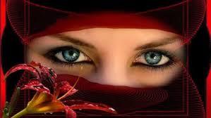 காதல் வாடவில்லை 