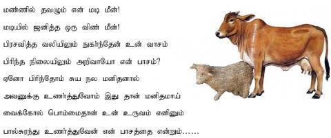மண்ணில் தவழும் என் மடி மீன் -தாய்ப்பால் நாள் போட்டி