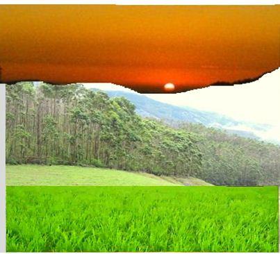 மூவர்ணக் கொடி