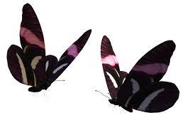 ஒற்றுமை