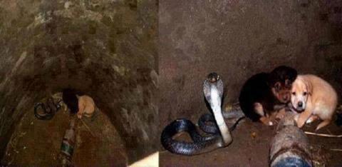 இரை மறந்த மிருகம்