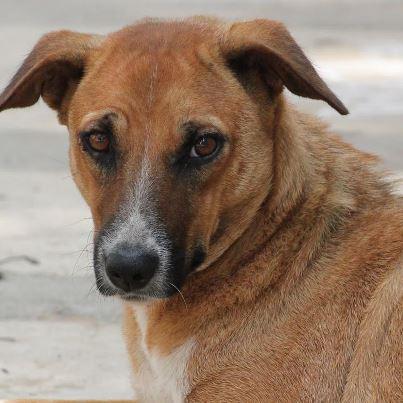 2038 – TV Serialsssssss 2038 – TV Serialsssssss