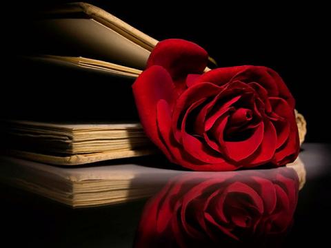 திரை கதை வசனம்