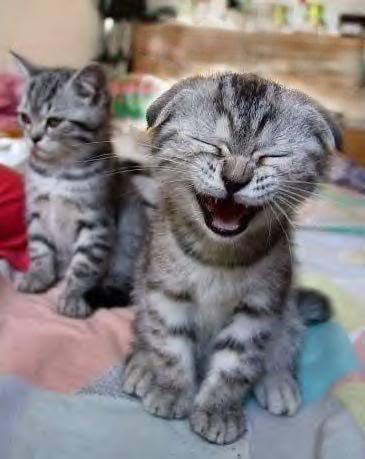 சிரிப்பு