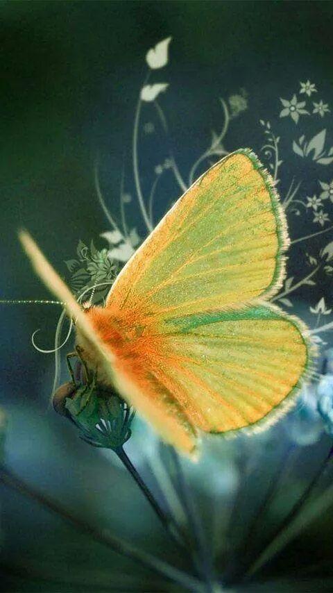 வெறுப்பு