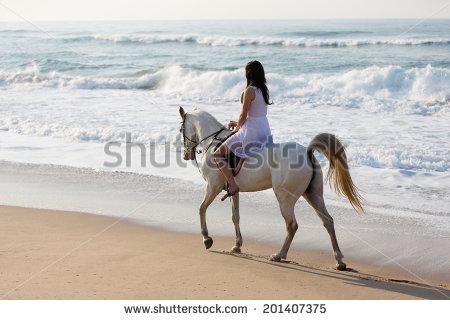 வெண்ணிற புரவியில் வந்தவள்