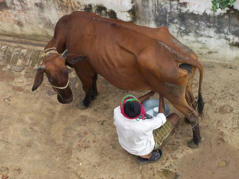 தண்ணி கலந்தாப் போச்சு