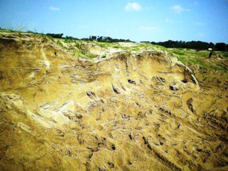 பாதுகாக்கப்பட வேண்டிய ஒரு புதையல் “ஆற்று வளம்”