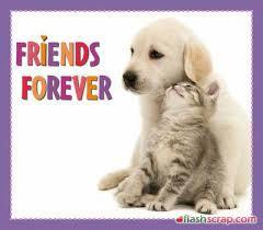 என் அயூரியம் நீ