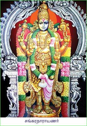 மகேசுவரமூர்த்தங்கள் 1325 ஹரிஹர்த்தர்