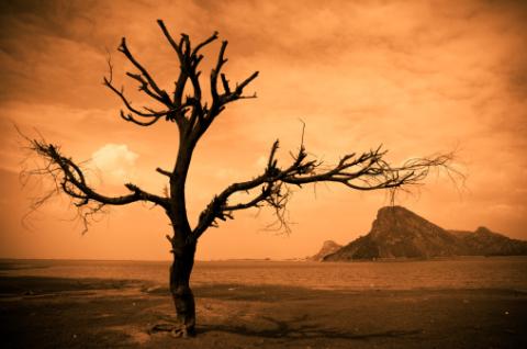 ஒத்தயடி பாதை