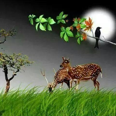 பாரதி உலகம்