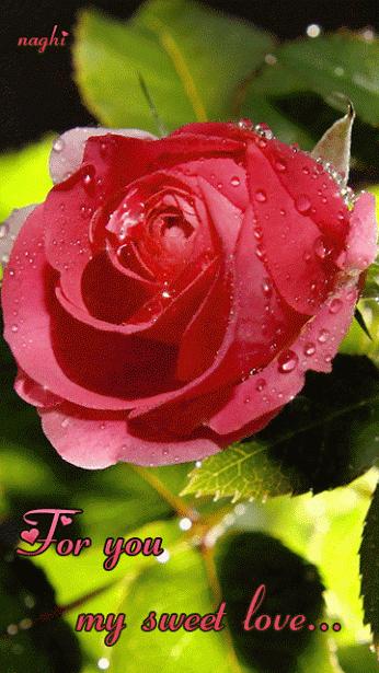 என் வலிகளில் சில