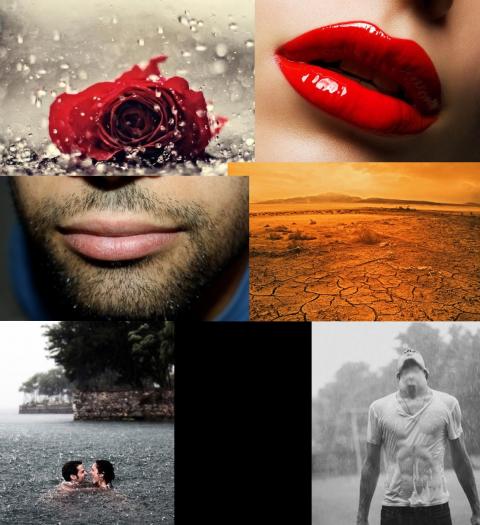 முத்தம்