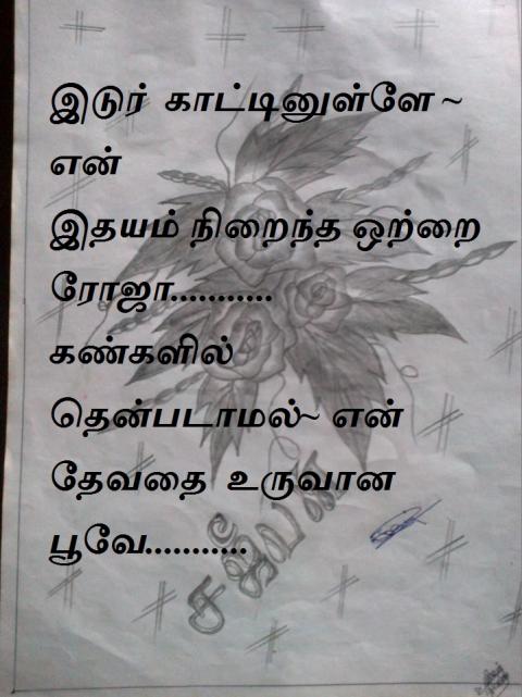 ஒற்றை  ரோஜா