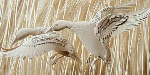 முதுகெலும்பி 10