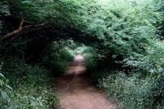 நீலக்குயில் தேசம்17---ப்ரியா