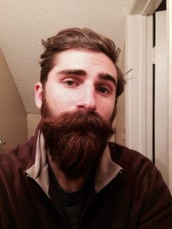 தாடிக்குள் ஒளிந்துகொள்கிறேன் தாடிக்குள் ஒளிந்துகொள்கிறேன்