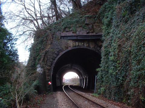 கவிதை வாளம்   - சந்தோஷ்