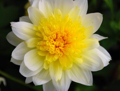 எல்லாம் நீயடி