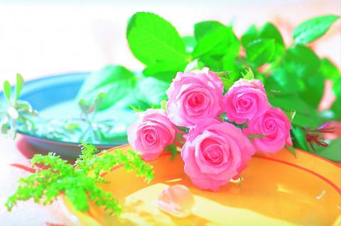 தோழி வைஷ்ணவிக்கு பிறந்தநாள்