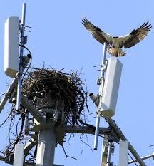 சுடுகாடு ஹைக்கூ