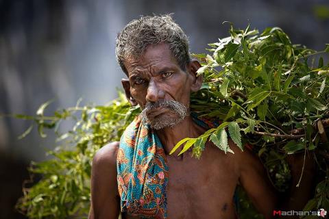 அவனாய் நான்