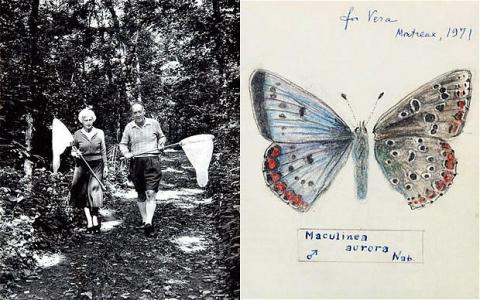 வண்ணாத்துப் பூச்சிகளைத் துரத்திய எழுத்தாளர்