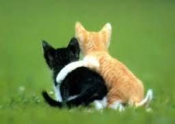 உற்ற நண்பன் 