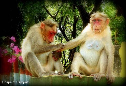 அனுபவத்தில் உணரும் அன்பு 