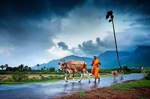 சமமென்று கொள்வோம் உயிர்களை