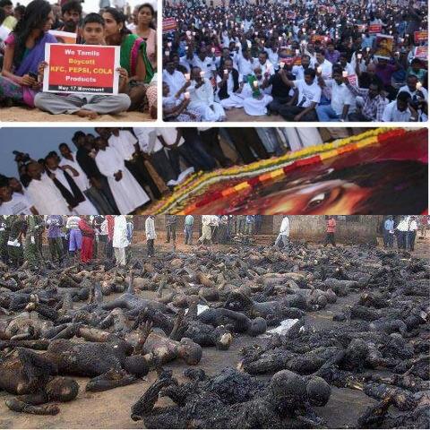 உடல்கள் அல்ல உயிர்கள்