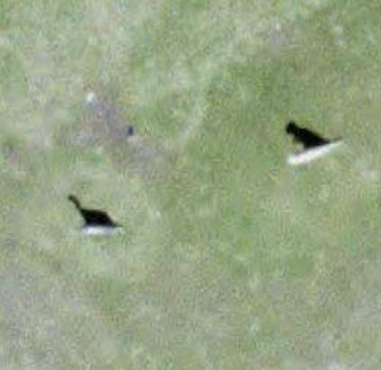 விண்கலம் க362 - I